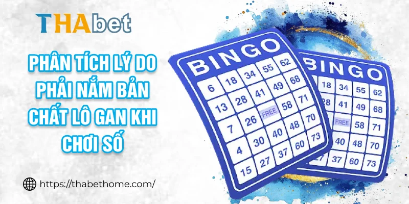 Phân tích lý do phải nắm bản chất lô gan khi chơi số