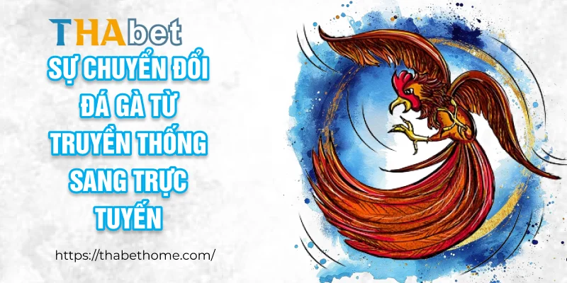 Sự chuyển đổi đá gà từ truyền thống sang trực tuyến